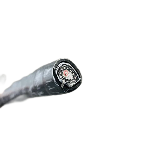 亚洲国产熟妇无码日韩