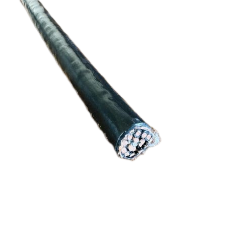 亚洲国产熟妇无码日韩