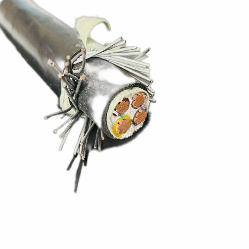 亚洲国产熟妇无码日韩