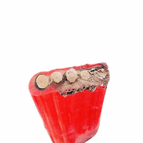 亚洲国产熟妇无码日韩