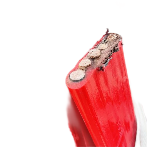 亚洲国产熟妇无码日韩