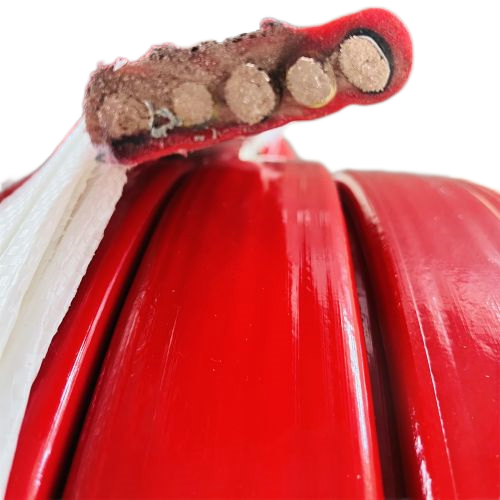 亚洲国产熟妇无码日韩