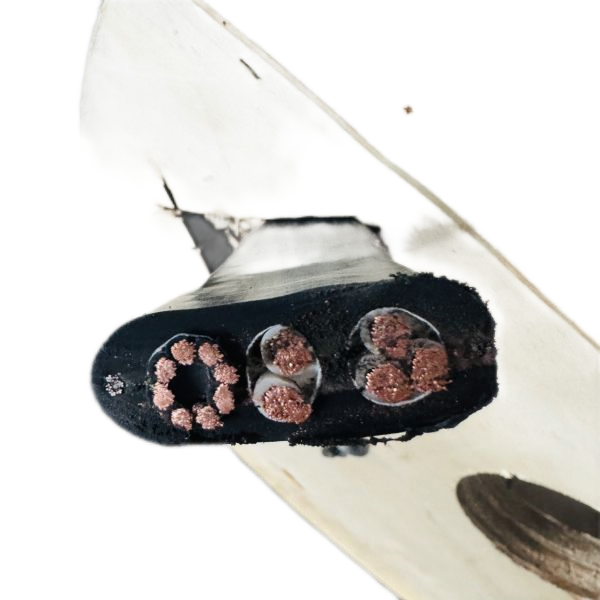 亚洲国产熟妇无码日韩