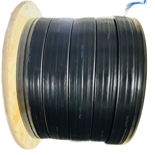 亚洲国产熟妇无码日韩