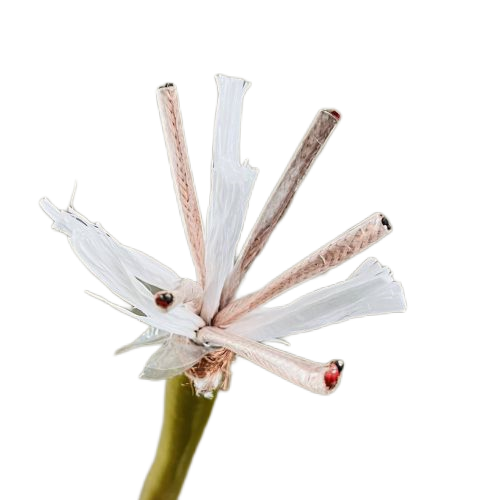 亚洲国产熟妇无码日韩