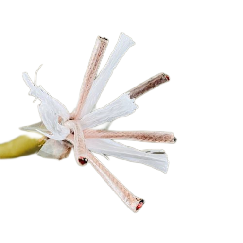 亚洲国产熟妇无码日韩