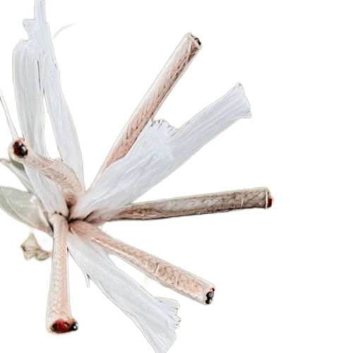 亚洲国产熟妇无码日韩