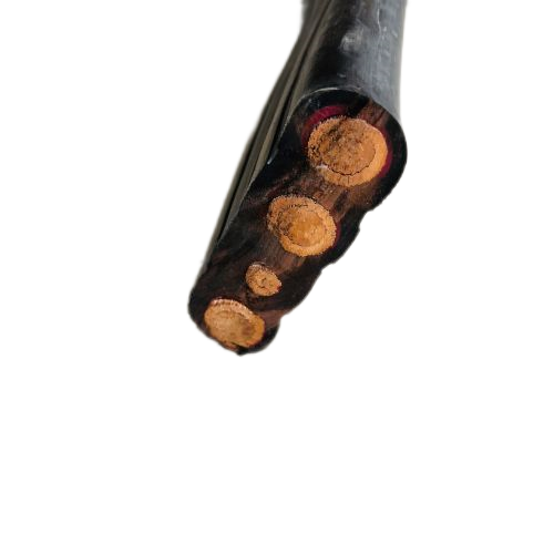 亚洲国产熟妇无码日韩