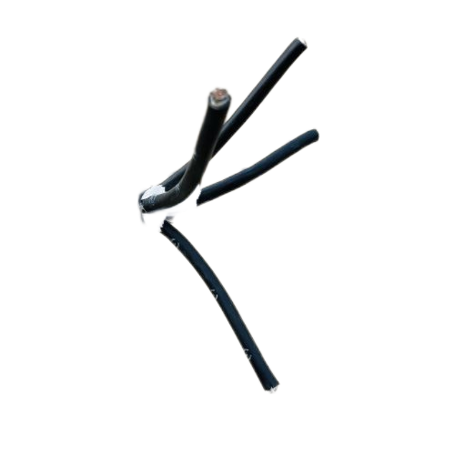 亚洲国产熟妇无码日韩