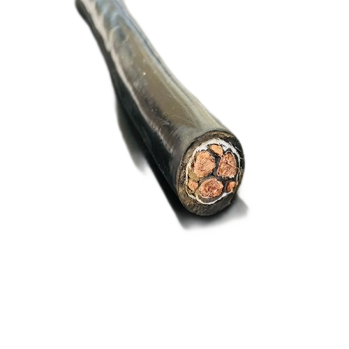 亚洲国产熟妇无码日韩