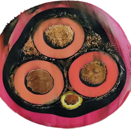 亚洲国产熟妇无码日韩