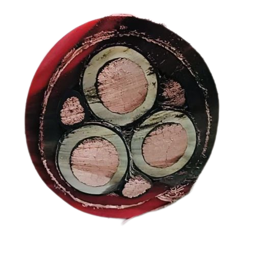 亚洲国产熟妇无码日韩