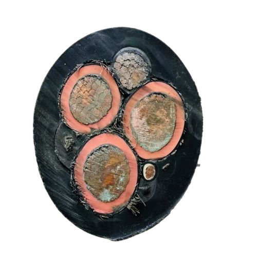 亚洲国产熟妇无码日韩