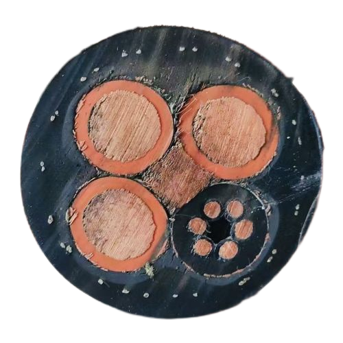 亚洲国产熟妇无码日韩