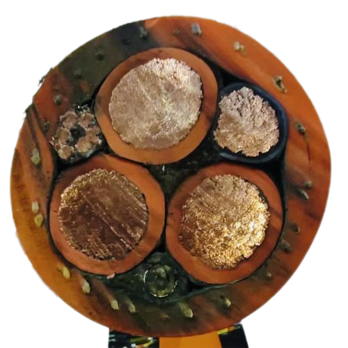 亚洲国产熟妇无码日韩