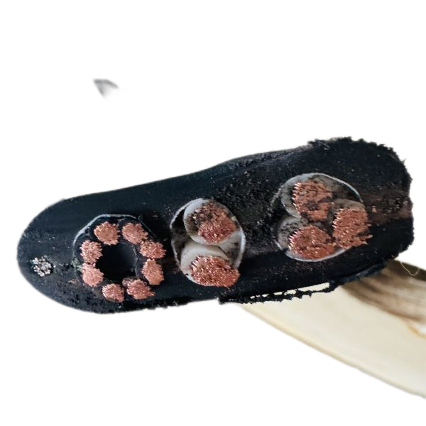 亚洲国产熟妇无码日韩