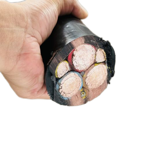 亚洲国产熟妇无码日韩