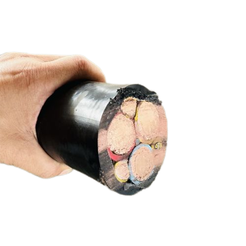 亚洲国产熟妇无码日韩