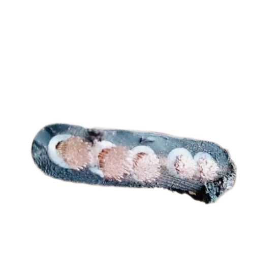 亚洲国产熟妇无码日韩