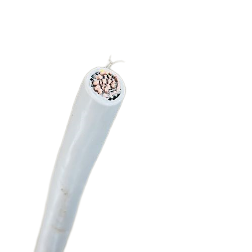 亚洲国产熟妇无码日韩