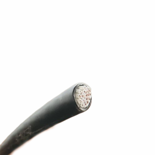 亚洲国产熟妇无码日韩