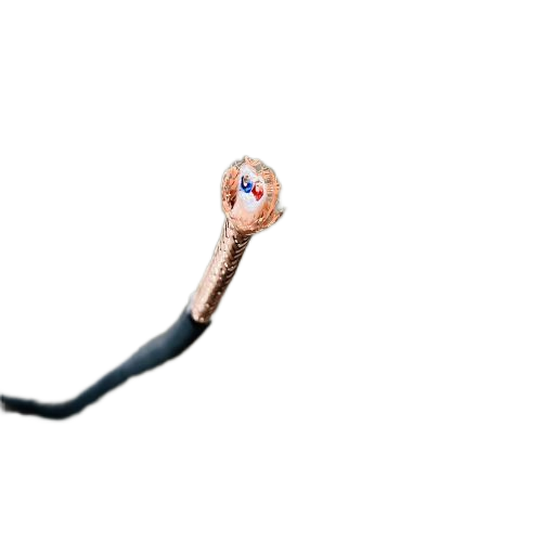 亚洲国产熟妇无码日韩