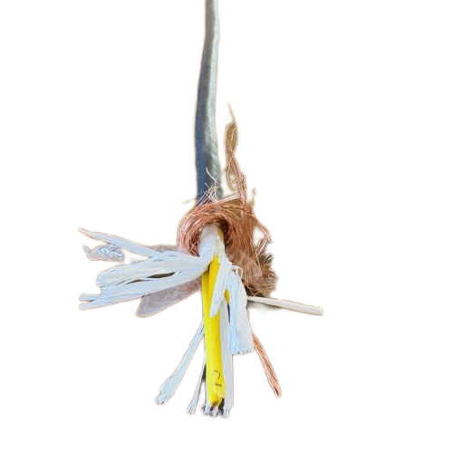 亚洲国产熟妇无码日韩