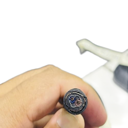 亚洲国产熟妇无码日韩