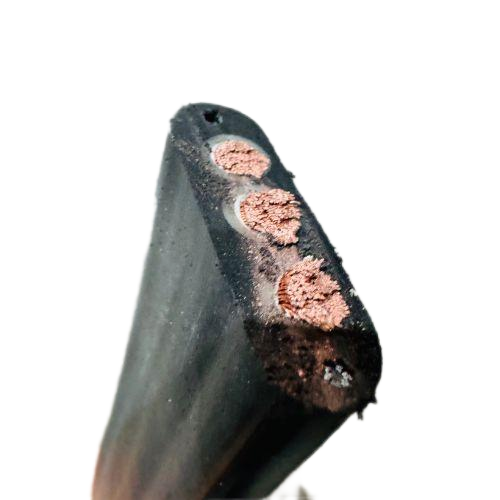 亚洲国产熟妇无码日韩