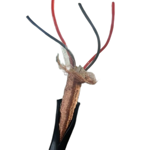 亚洲国产熟妇无码日韩