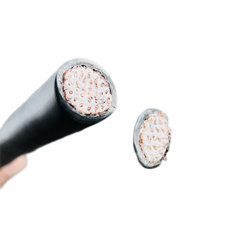 亚洲国产熟妇无码日韩