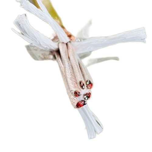 亚洲国产熟妇无码日韩