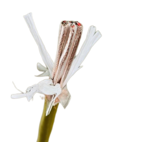 亚洲国产熟妇无码日韩