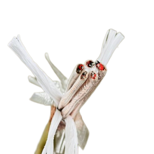 亚洲国产熟妇无码日韩