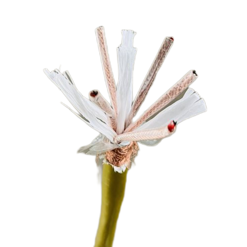 亚洲国产熟妇无码日韩