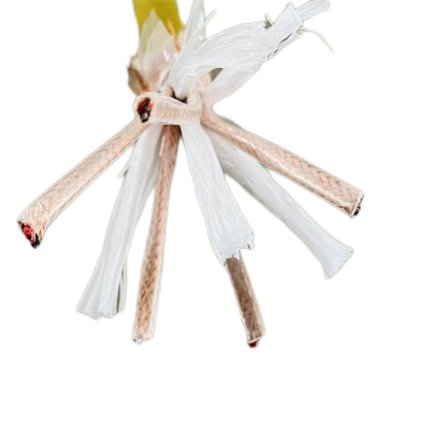 亚洲国产熟妇无码日韩