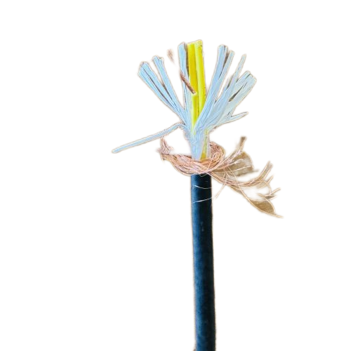 亚洲国产熟妇无码日韩