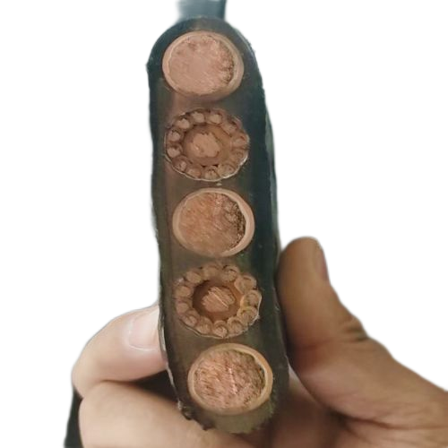 亚洲国产熟妇无码日韩