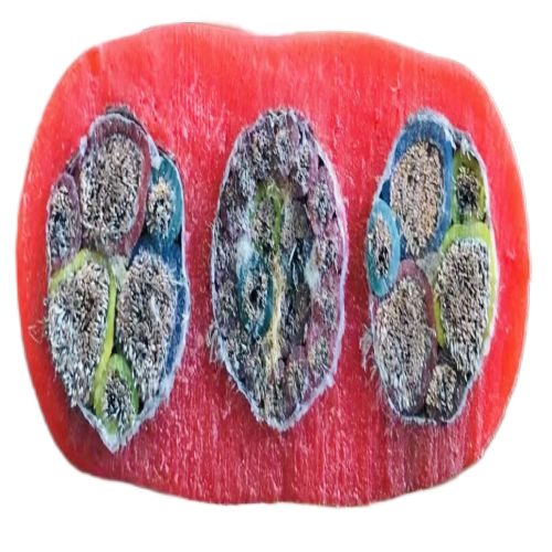 亚洲国产熟妇无码日韩