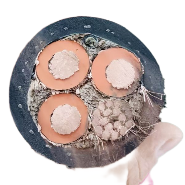 亚洲国产熟妇无码日韩