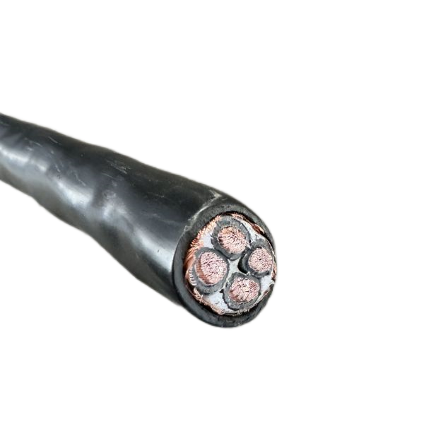 亚洲国产熟妇无码日韩