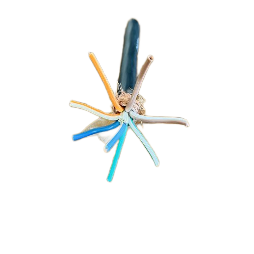 亚洲国产熟妇无码日韩