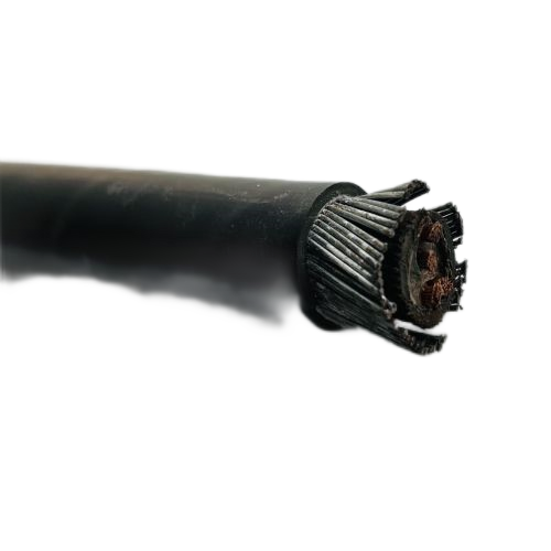 亚洲国产熟妇无码日韩