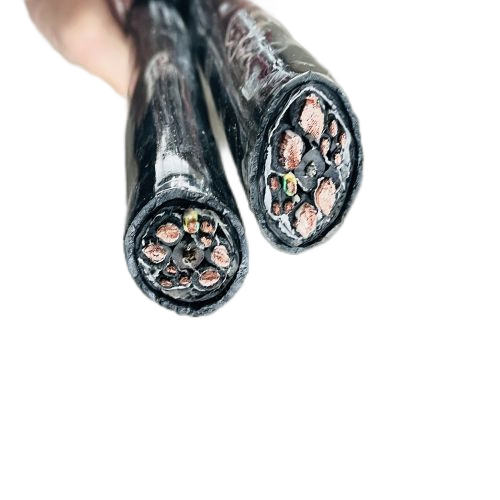 亚洲国产熟妇无码日韩