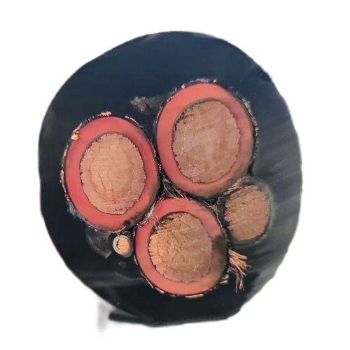 亚洲国产熟妇无码日韩