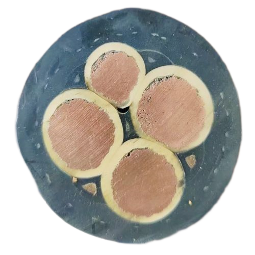 亚洲国产熟妇无码日韩