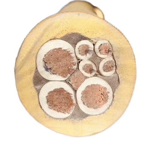 亚洲国产熟妇无码日韩