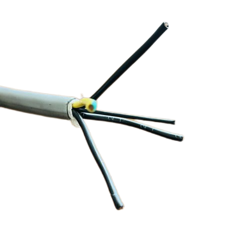 亚洲国产熟妇无码日韩