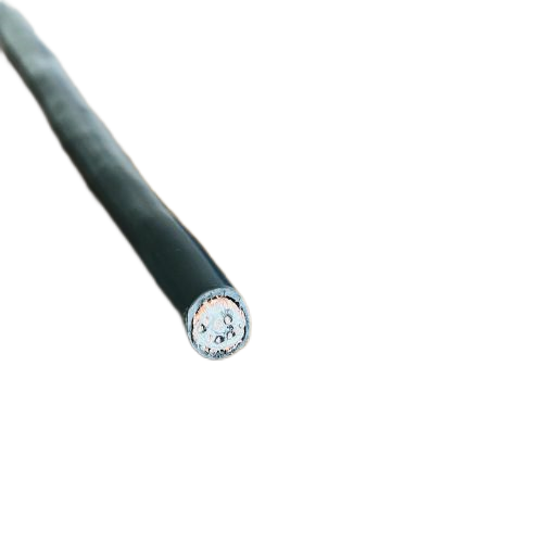 亚洲国产熟妇无码日韩