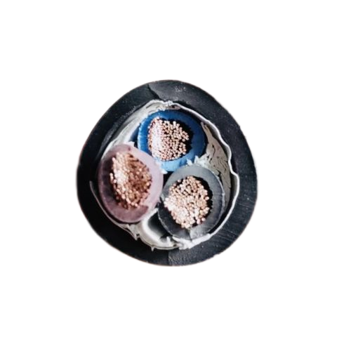 亚洲国产熟妇无码日韩